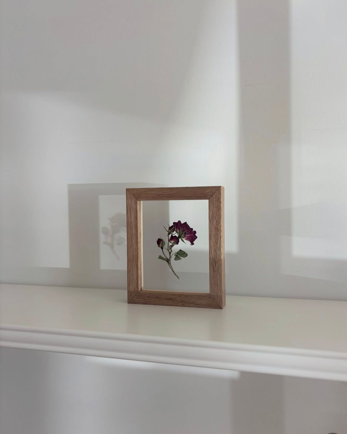 Preserved Heirloom