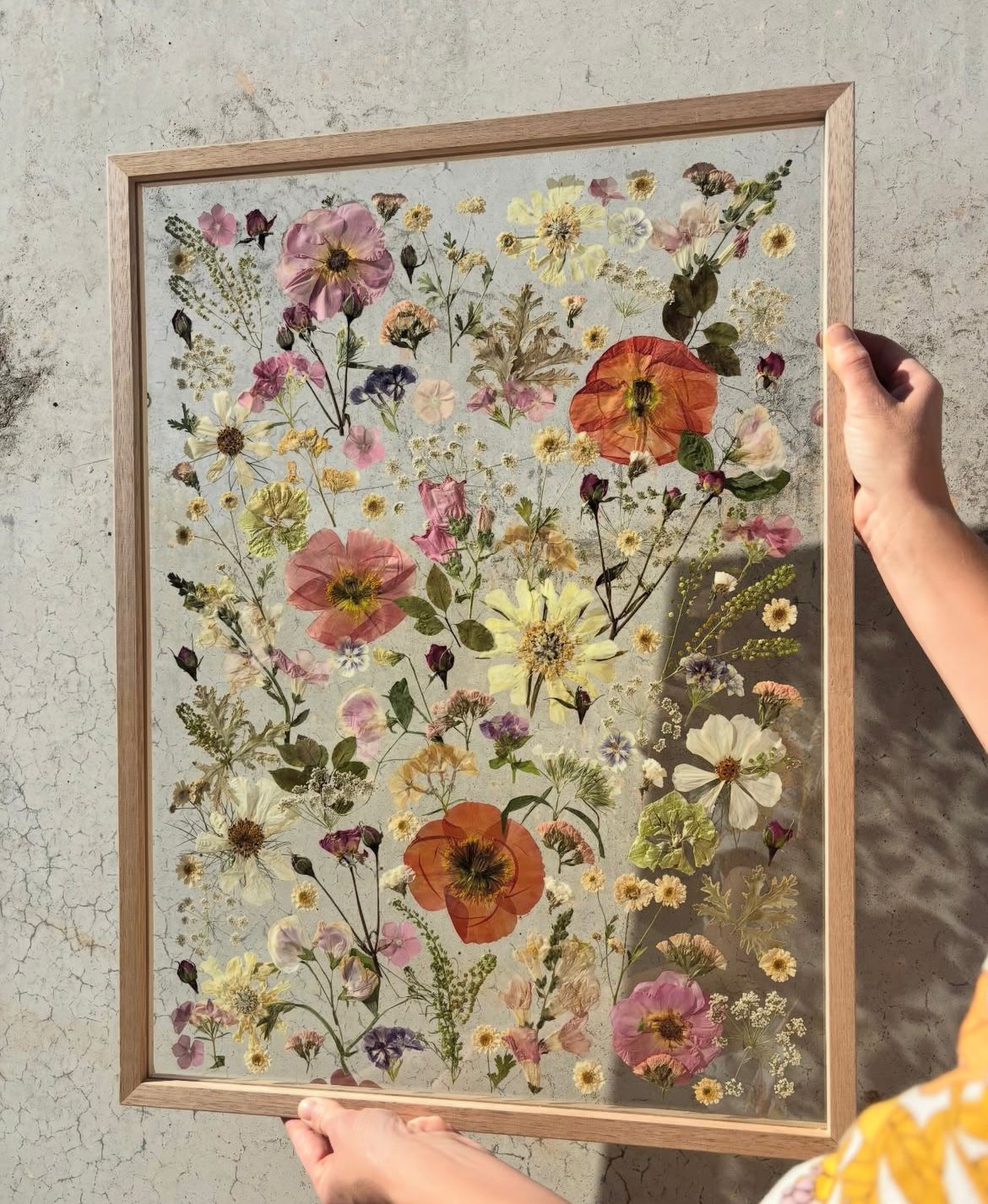 Past Heirloom 6