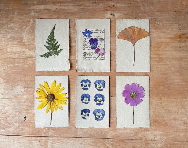 Step 6: Final Placement for Pressed Designs